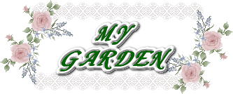 MY GARDEN 