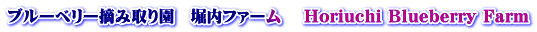ブルーベリー摘み取り園　堀内ファーム 　Horiuchi Blueberry Farm