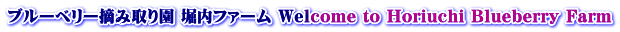 ブルーベリー摘み取り園 堀内ファーム Welcome to Horiuchi Blueberry Farm